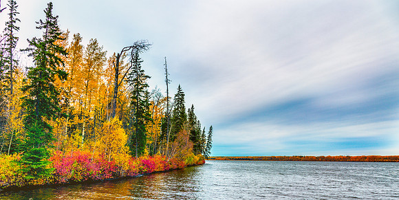 Colours of Autumn Shores