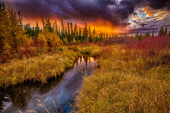 Blazing Sunset