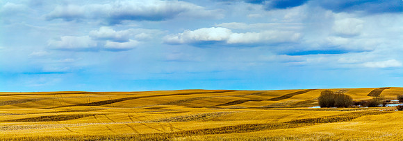 A golden spring