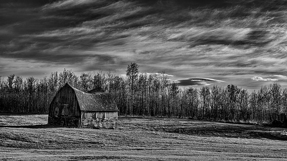 Abandoned Barn in spring