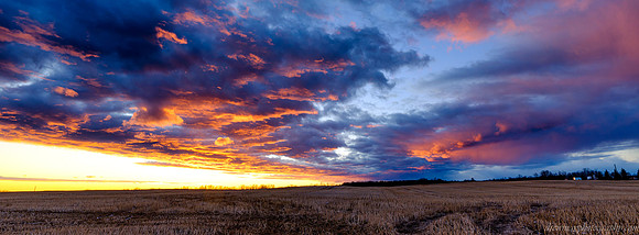 - Drew May Photo 20251121 DSCF5616_-Edit