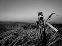 - Drew May Photo 20251111 _DSF5559_-Edit-2