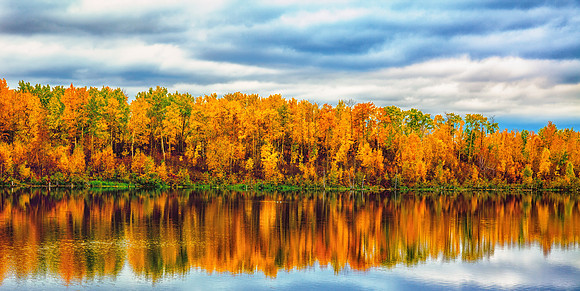 Refection