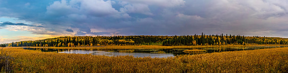 Autumn Glory