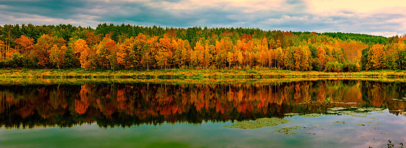 Chickacoo Lake in Bloom