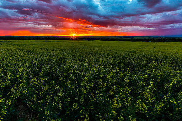 The Blazing Sunset