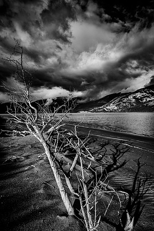 On the shores of Jasper Lake