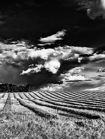 Drying Grain__20150907-_MAY3690
