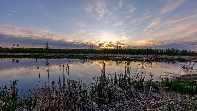 Sunset over a pond. - Drew May Photo 20250516 _DSF4590_