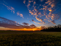 Orange Sunsets - Drew May Photo 20260817 _DSF6780_