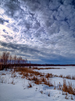 - Drew May Photo 20260307 _DSF5750_-Edit