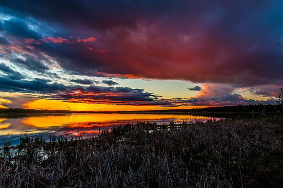 Light After a Storm