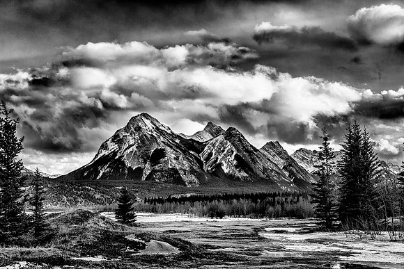 _Mount William Booth_20150125-_MAY6685