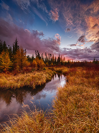 The Last Moments of Light