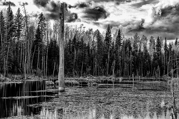 A Pond Monolith