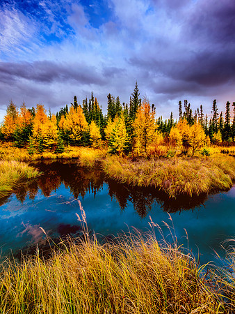 Narrow Refections