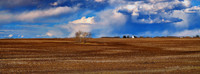 An image of Home - Drew May Photo 20250420 _DSF4199_-Edit