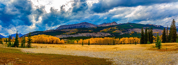 Autumn on the Kootenwy Plains