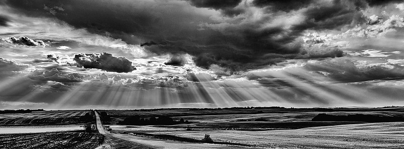 Rays over a spring Field B&W - Drew May Photo 20250513 _DSF4521_-Edit-Edit