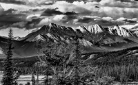 the Best of my Black and White