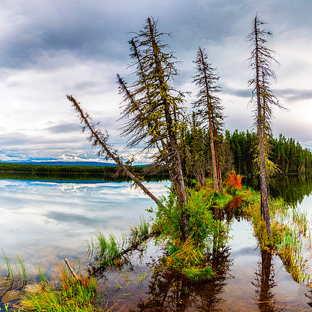 A Flooded Pathway__20160826-_MAY5599-Pano
