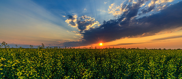 Sunset Number 50  Drew May Photo