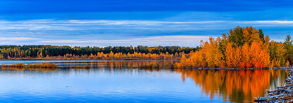 A Little Bit of Colour  Drew May Photo