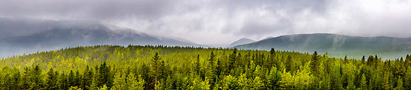 Waiparous Valley in the Rain