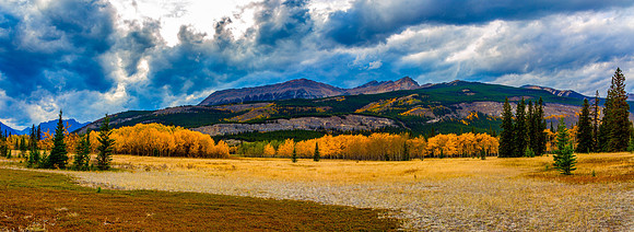 Autumn on the Kootenwy Plains