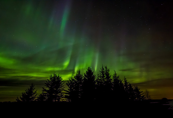 Emerald light