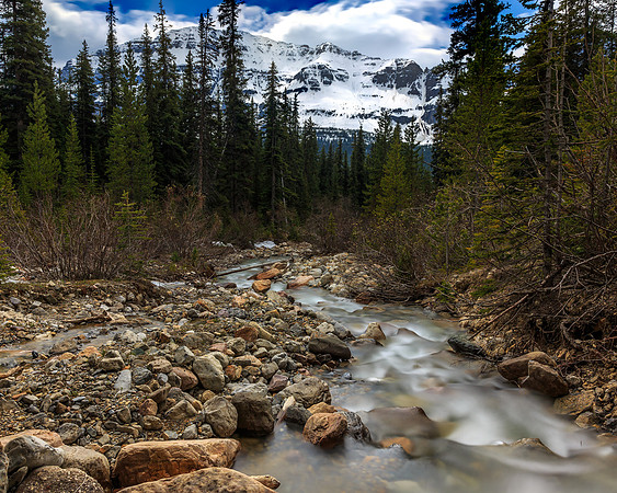 Crowfoot Mountain  Drew May Photo