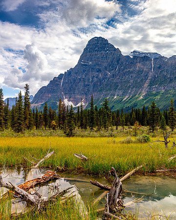 Mount Chephren in Summer Light  Drew May Photo