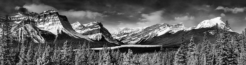Above Hector Lake {Blanck and White}