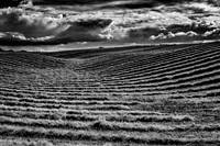 Monocrome Patterns