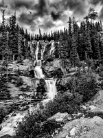 the Best of my Black and White