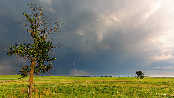 Lightning No. 100 - Drew May Photo 20210710_MAY7693