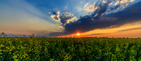 Sunset Number 50 - Drew May Photo 20210703_SR_9621