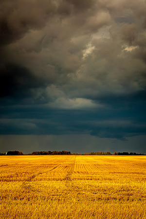 Stubble and the Clouds
