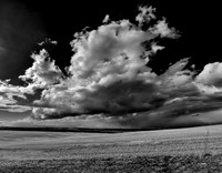 the Best of my Black and White