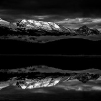 Patricia's Refelection  Drew May Photo