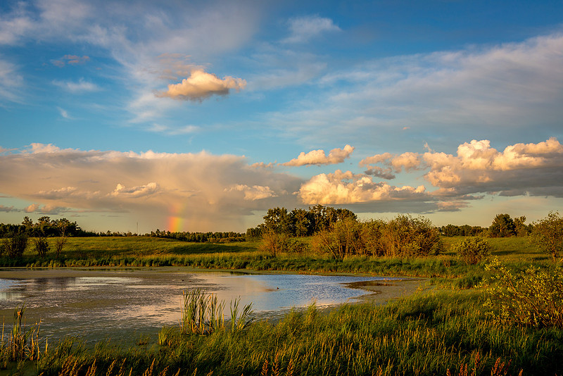 Ranbow Over a Pond