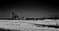 the Best of my Black and White