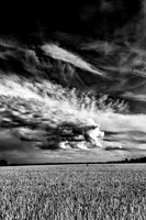 the Best of my Black and White
